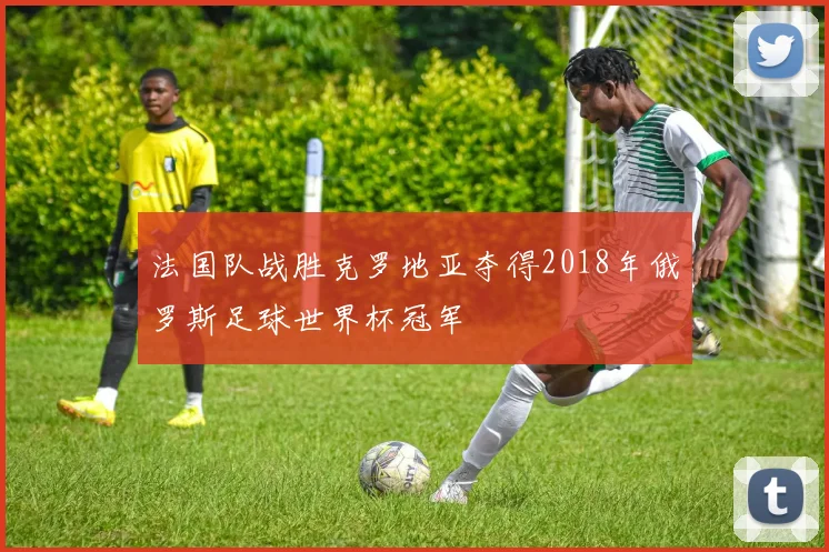 法国队战胜克罗地亚夺得2018年俄罗斯足球世界杯冠军