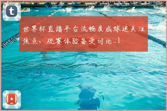世界杯直播平台流畅度成球迷关注焦点，观赛体验备受讨论_1