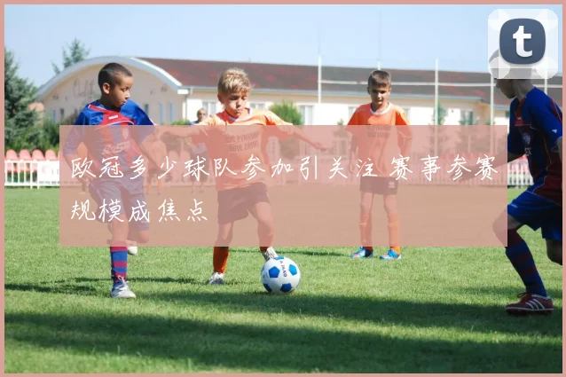 欧冠多少球队参加引关注 赛事参赛规模成焦点