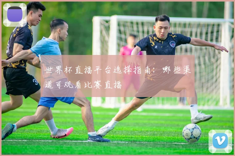 世界杯直播平台选择指南：哪些渠道可观看比赛直播